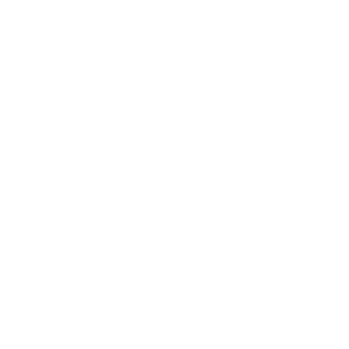 Bitnerd Studio logo